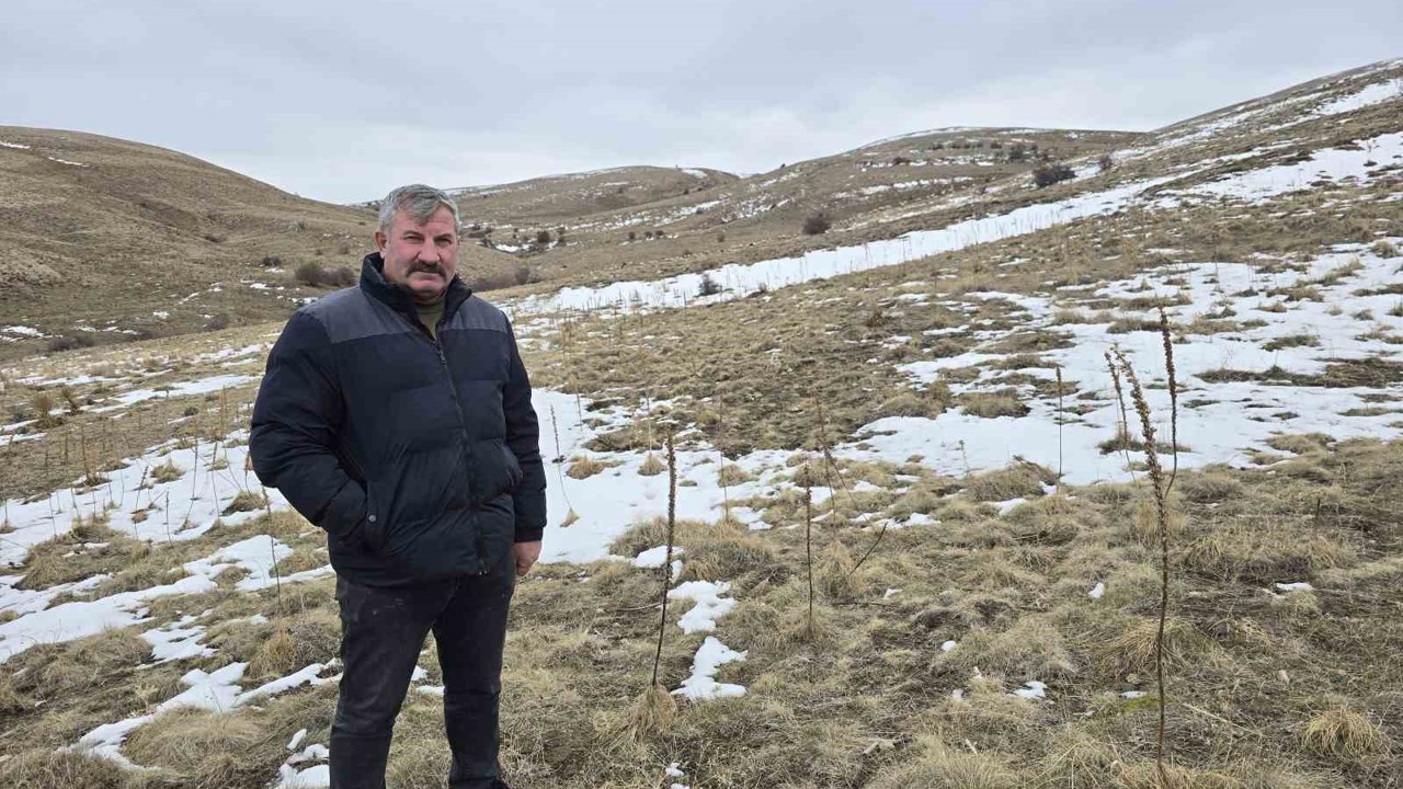 Babasıyla tartıştı, vadeli koyun alarak kendi sürüsüne sahip oldu
