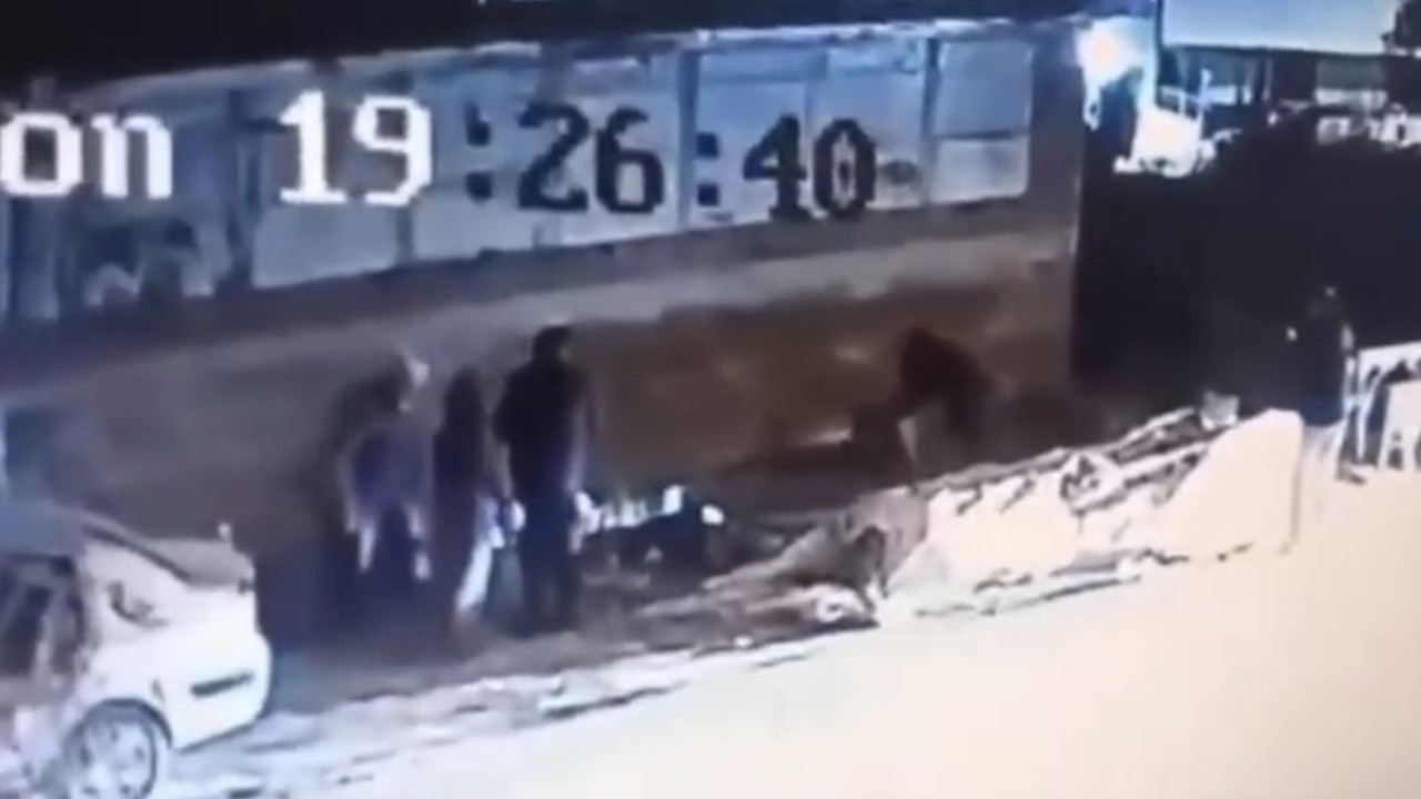 Demirtaş’ta başıboş köpek dehşetİ 3 kişi yaralandı
