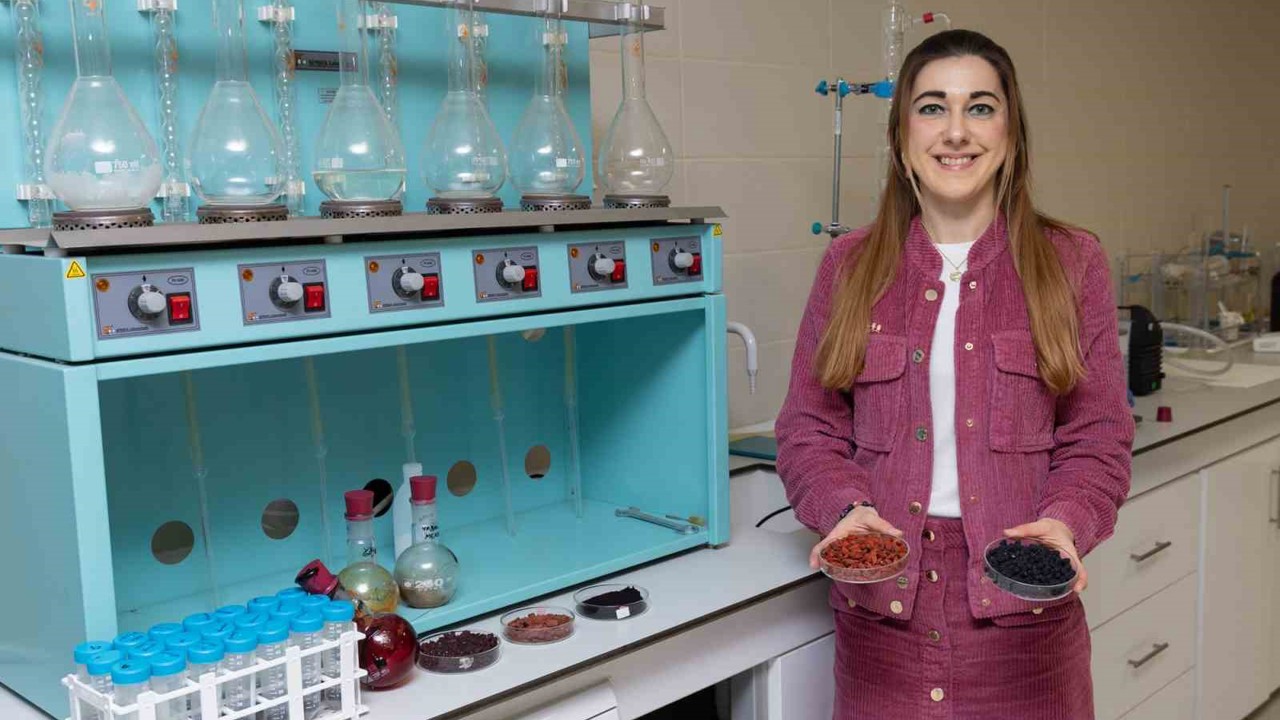 Kırmızı-mor meyvelerden fonksiyonel gıda ürünü
