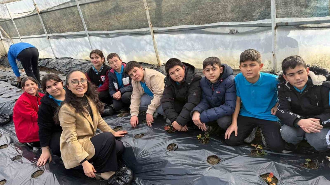 Gördes’te çilekler engelliler için yetişecek
