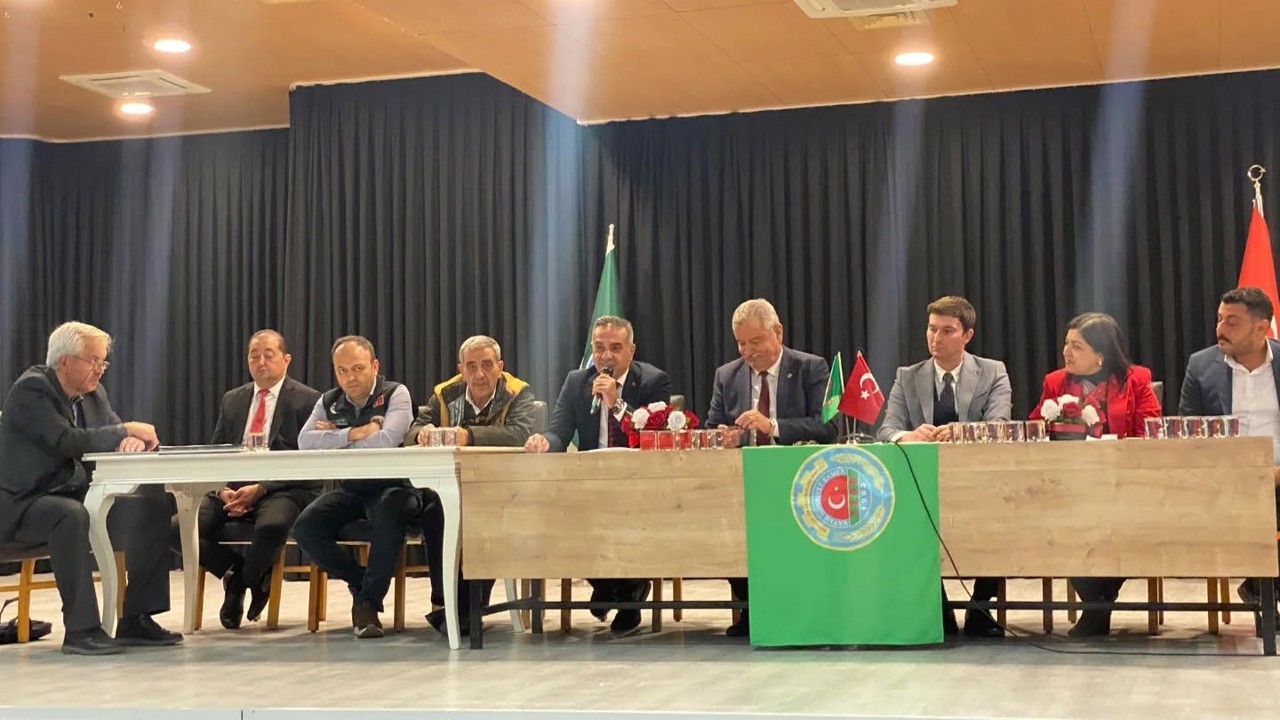 Zeytin üreticileri için destek ve markalaşma önerisi
