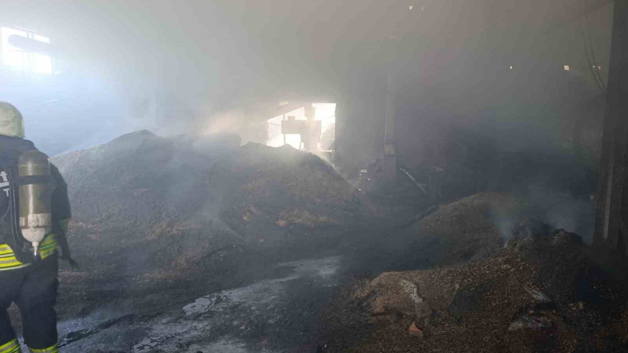 Vize’de palet fabrikasının deposunda yangın
