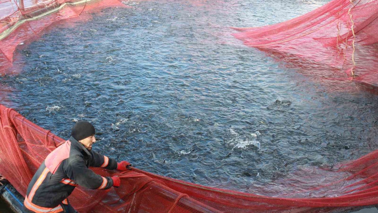 Bozkırın ortasında yetişti, Rusya ve Japonya yolcusu oldu
