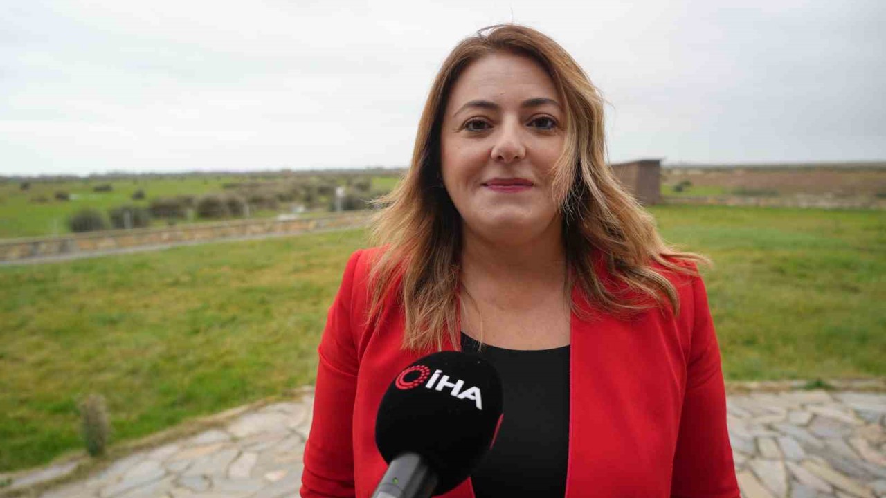 Türkiye’de manda popülasyonu tehdit altında
