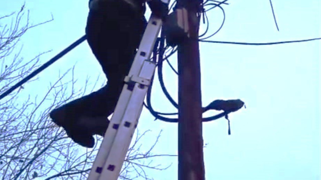 Direkte mahsur kalan kedi itfaiye tarafından indirildi
