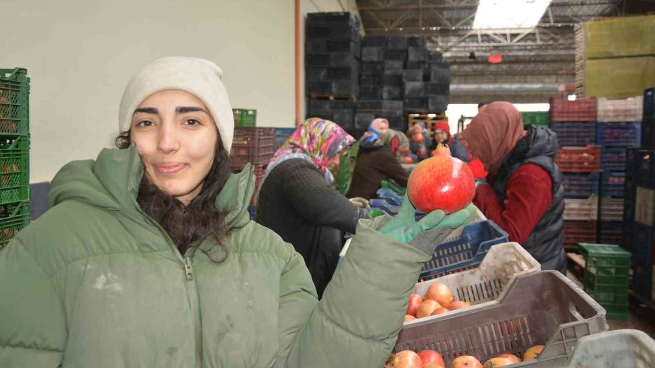 Korkuteli’nden nar ihracatı başladı

