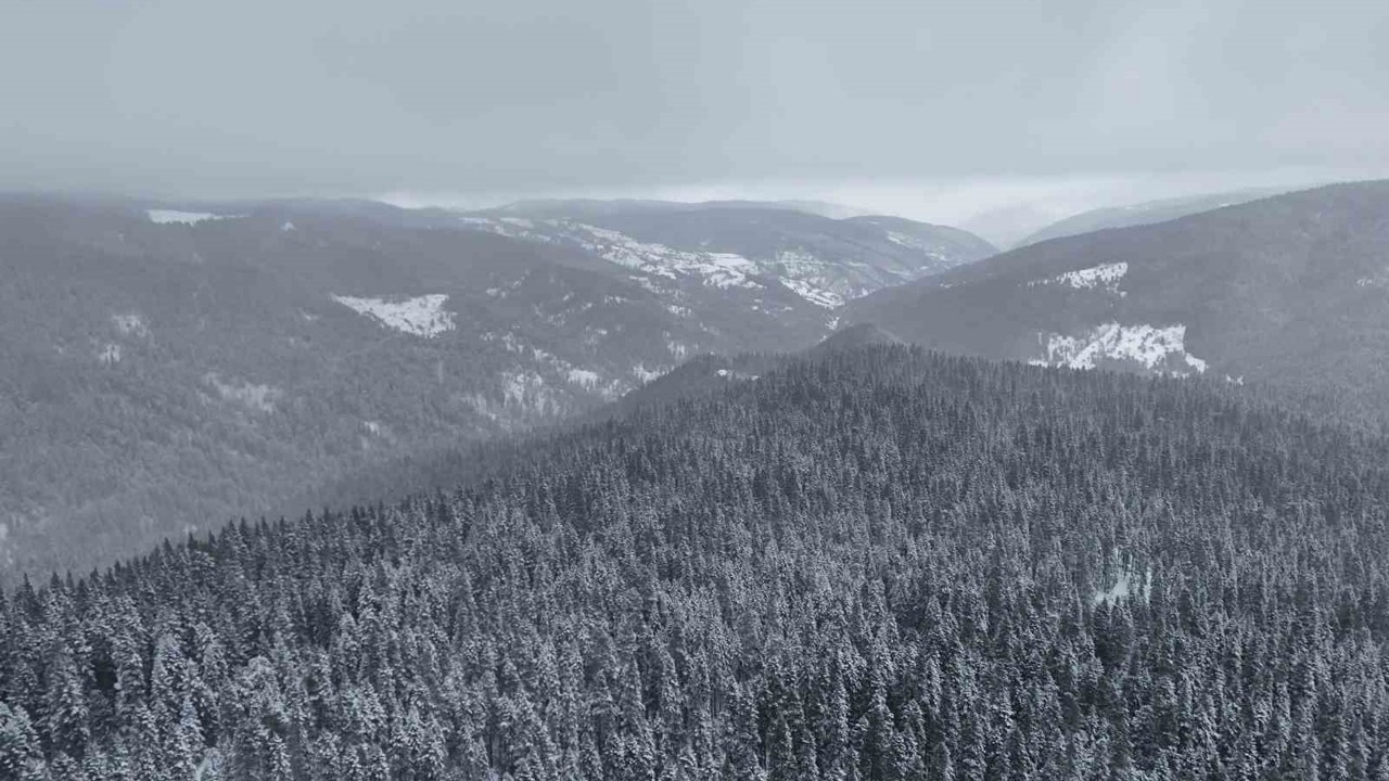 Beyaza bürünen Ilgaz Dağı havadan görüntülendi

