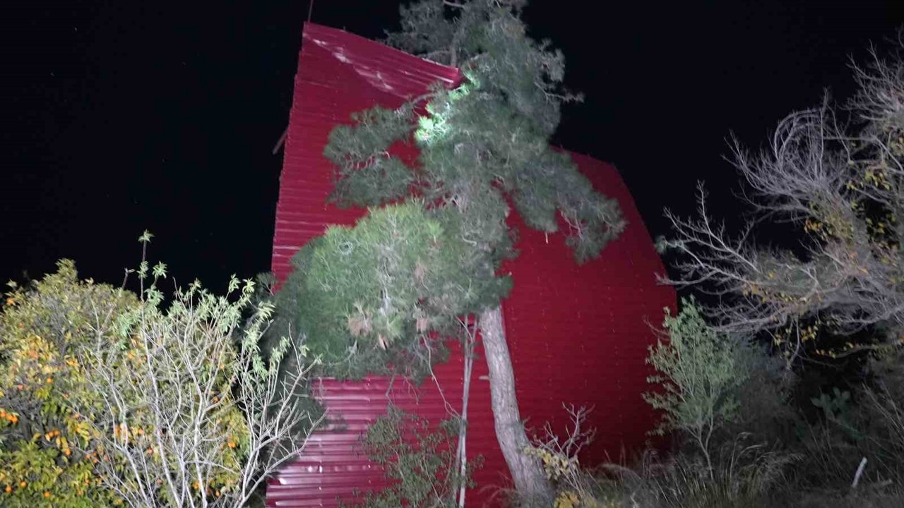 Mersin’de şiddetli rüzgar çatıyı uçurdu, asırlık meşeyi devirdi
