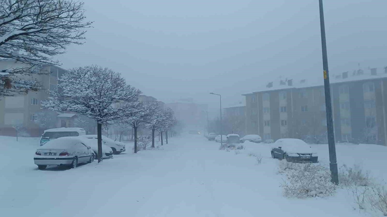 Van kar yağışı: 569 yol kapandı, uçak seferleri iptal edildi
