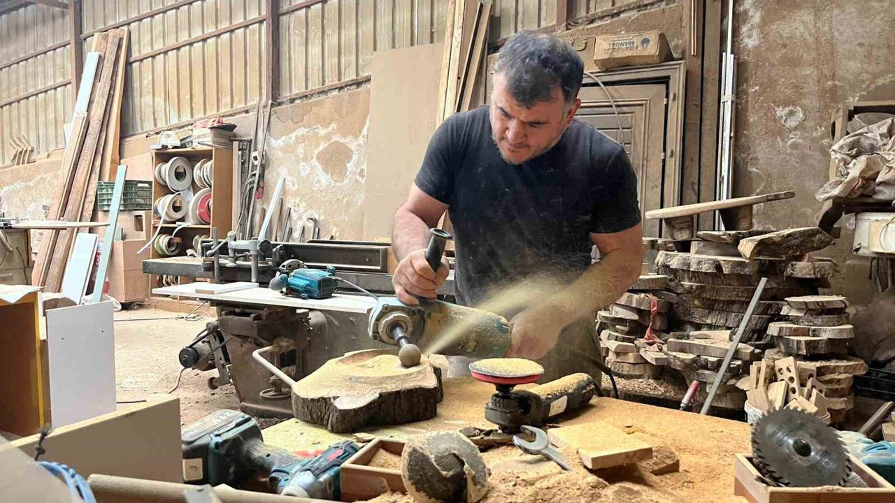 Çürümüş zeytin ağaçlarını sanat eserine dönüştürüyor
