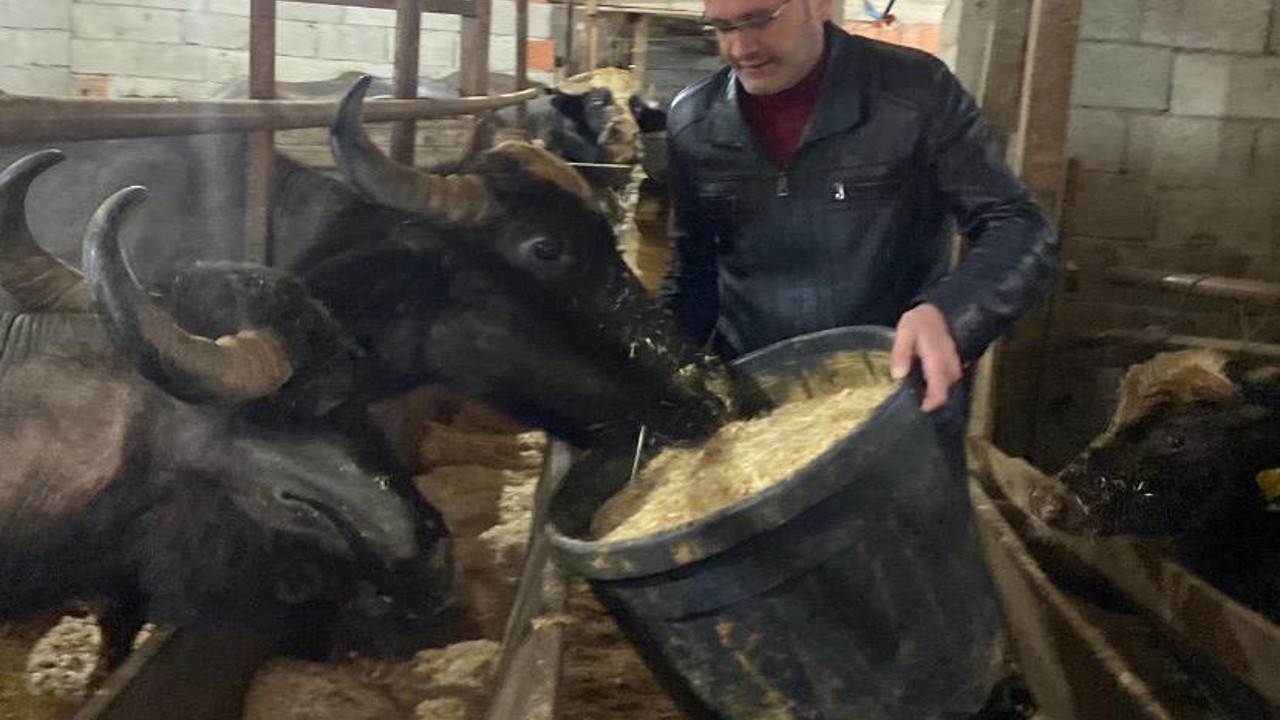 Giresun’da 286 manda işletmesine 12,3 milyon TL destek
