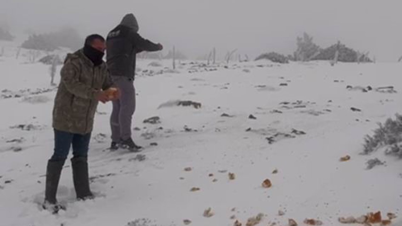 Halkapınar’da kar yağışı etkili oluyor

