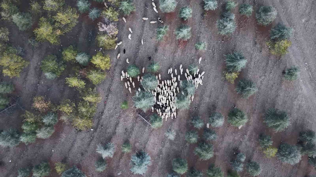 1 milyon 220 bin metrekarelik mera arazisinde "imar planı" iddiası: Müfettişler incelemeye aldı
