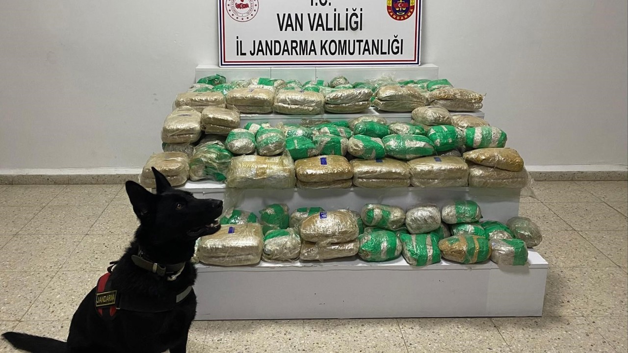 Van’da 51 kilo skunk ele geçirildi
