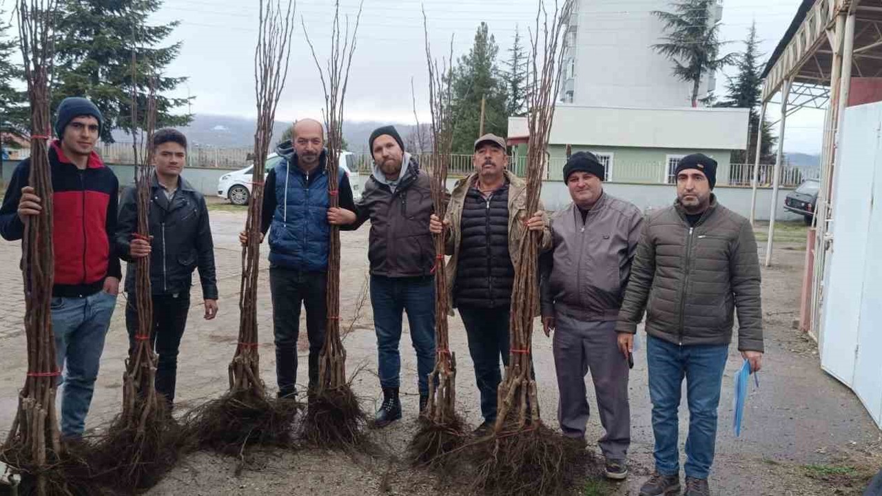 "Meyveciliği Geliştirme" projesi Pazaryeri’nde hayata geçti
