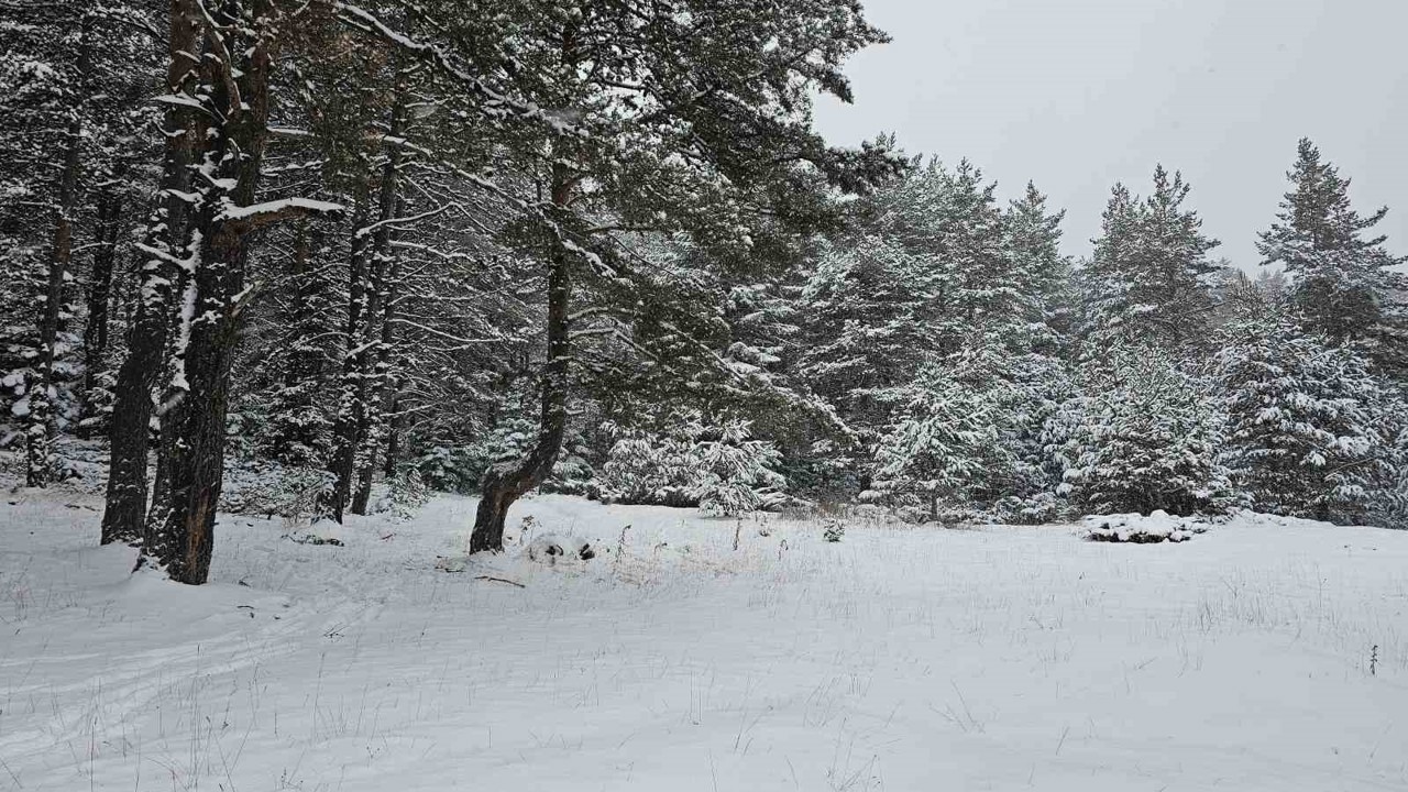 Ankara’da yaylalar beyaza büründü

