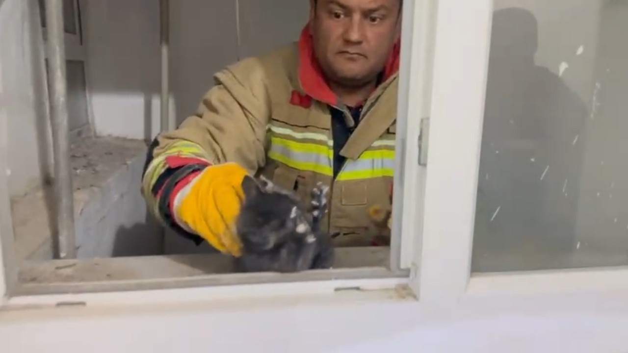Hatay’da havalandırma boşluğuna düşen yavru kedi kurtarıldı
