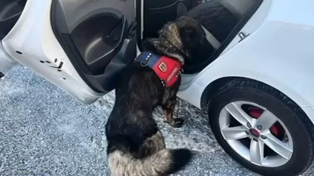 Jandarma tarafından Muğla’da yapılan denetimde bir haftada 80 şahıs yakalandı
