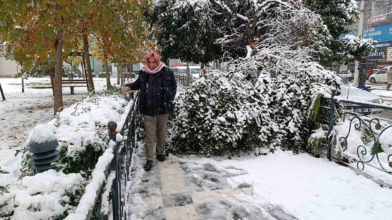 Şanlıurfa’da kar yağışı nedeniyle ağaç devrildi
