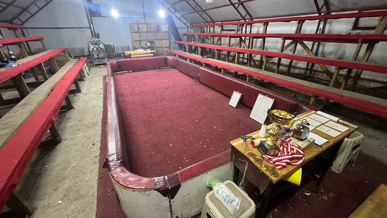 Sakarya’da horoz dövüşü operasyonu
