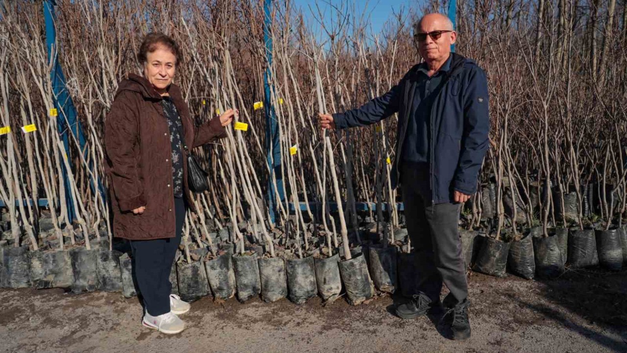75 üreticiye 3 bin 600 fidan
