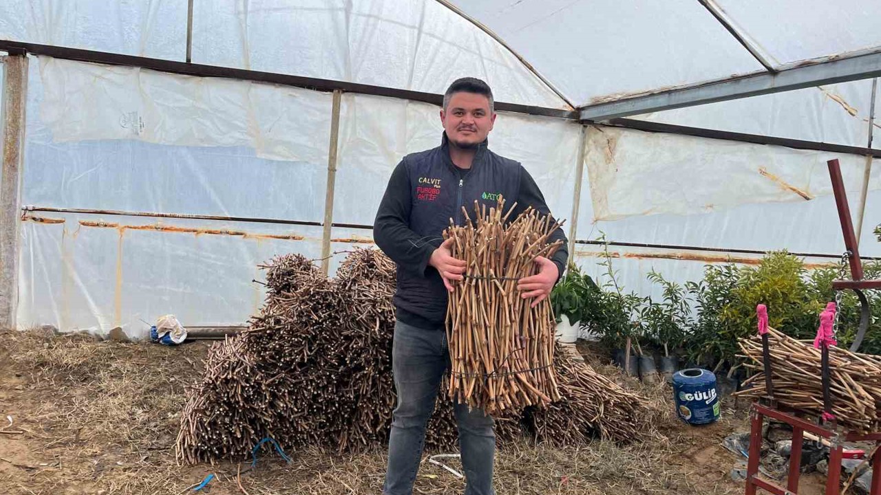 Genç kardeşlerden Sarıgöl ekonomisine 700 bin fidan hamlesi
