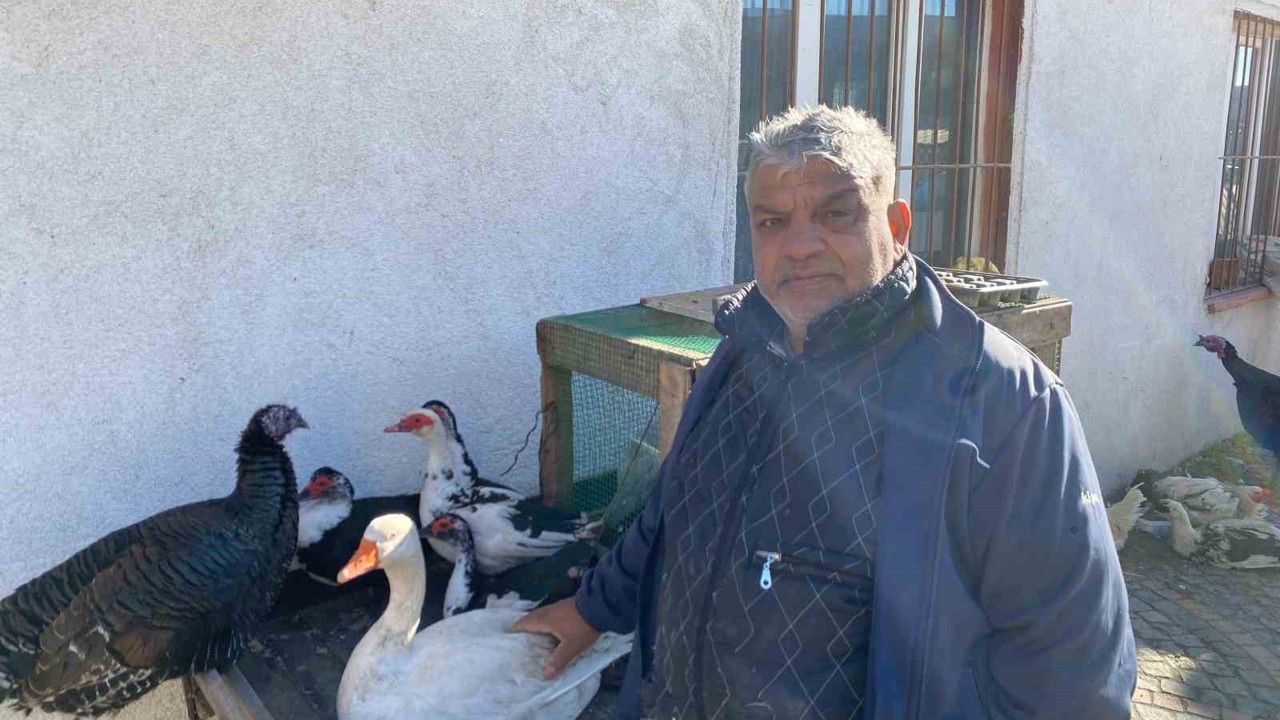 Hindi var, kaz var alıcı yok: Tezgâhlarda durgunluk
