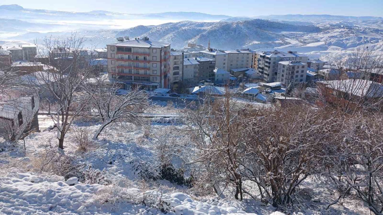 Kulp’ta tüm sokaklar buz tuttu, araçlar yola çıkamadı
