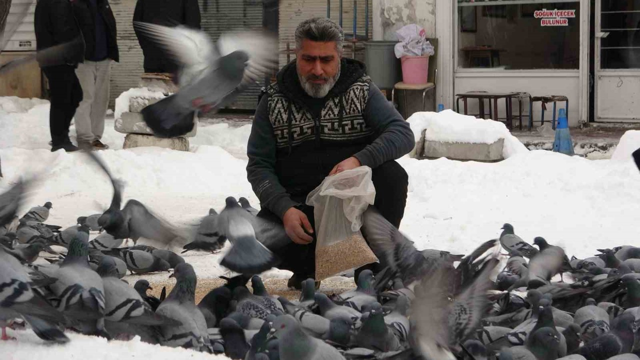 Van’da kar sonrası güvercinlerden görsel şölen
