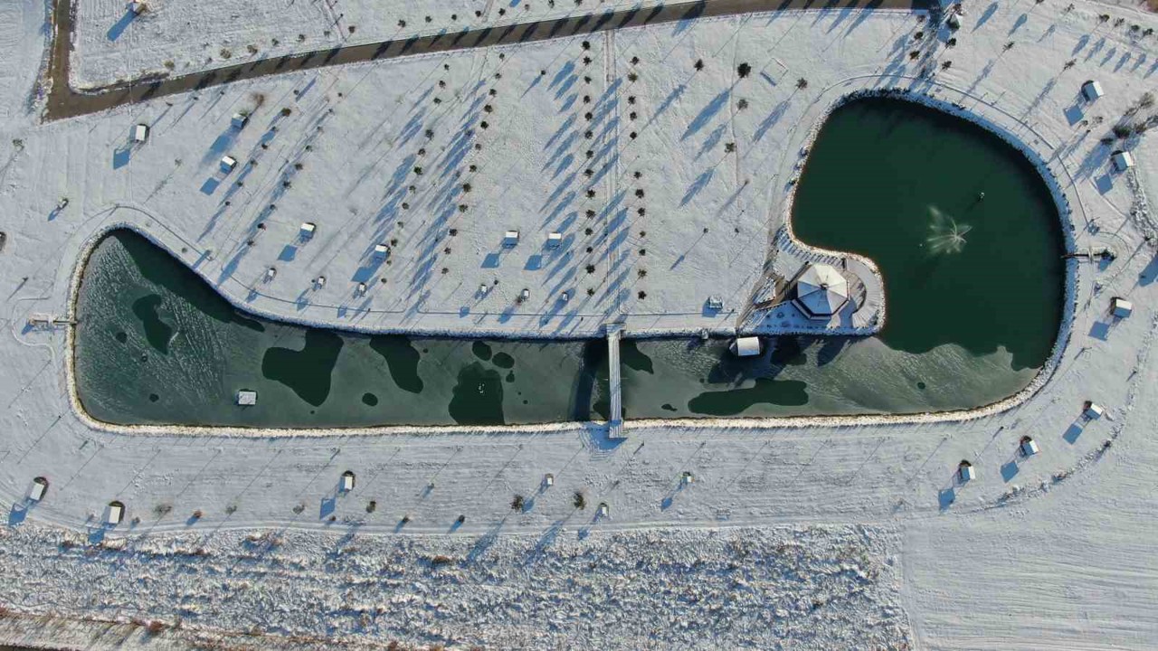 Sivas’ta soğuk hava etkisini gösterdi, ördeklerin olduğu gölet kısmen dondu
