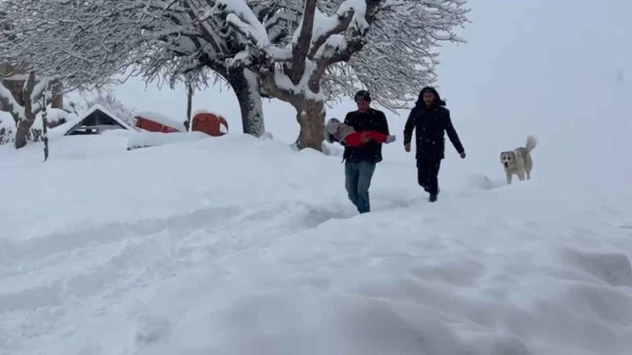 Siirt’te buzlanma ve don uyarısı
