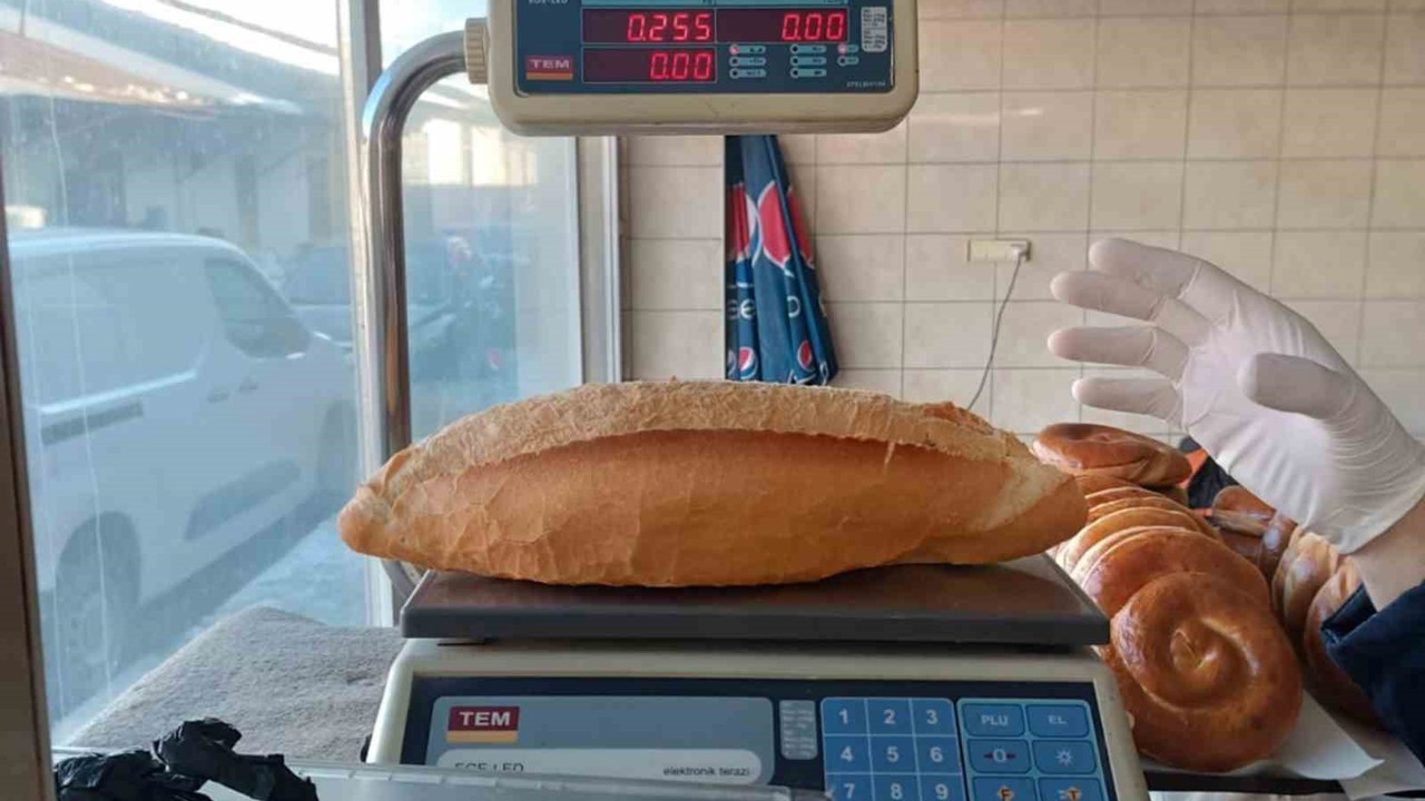 Erzincan’da fırın ve unlu mamul işletmelerine denetim
