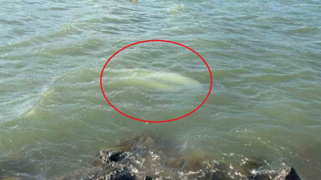 Karadeniz’de fırtına: Samsun’da 3 tekne battı
