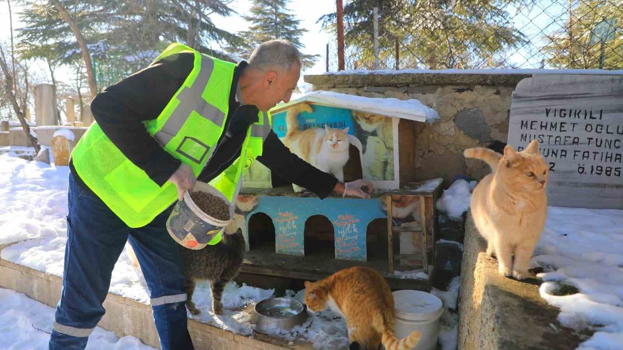 Elazığ’da doğaya yem bırakıldı
