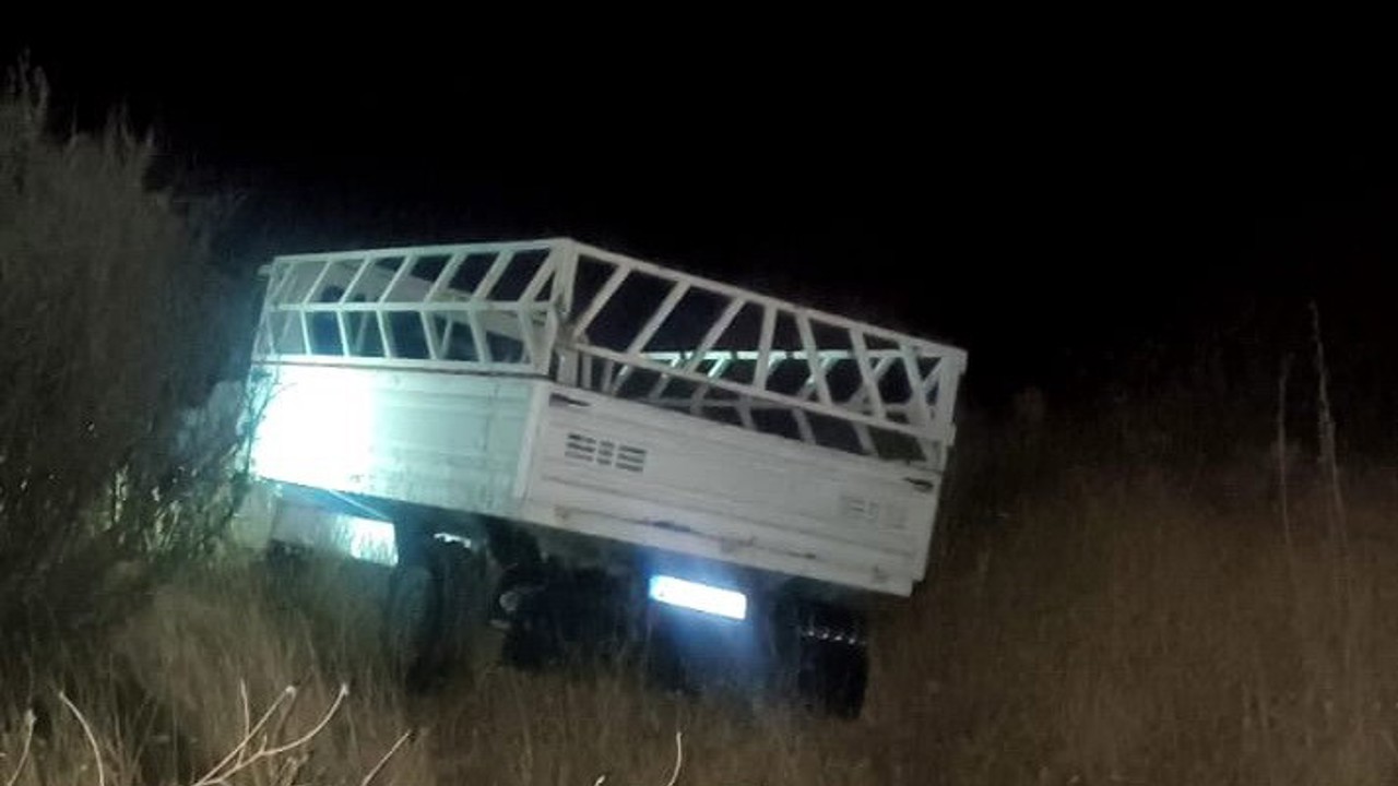 Kamyonet şarampole devrildi: 1 yaralı
