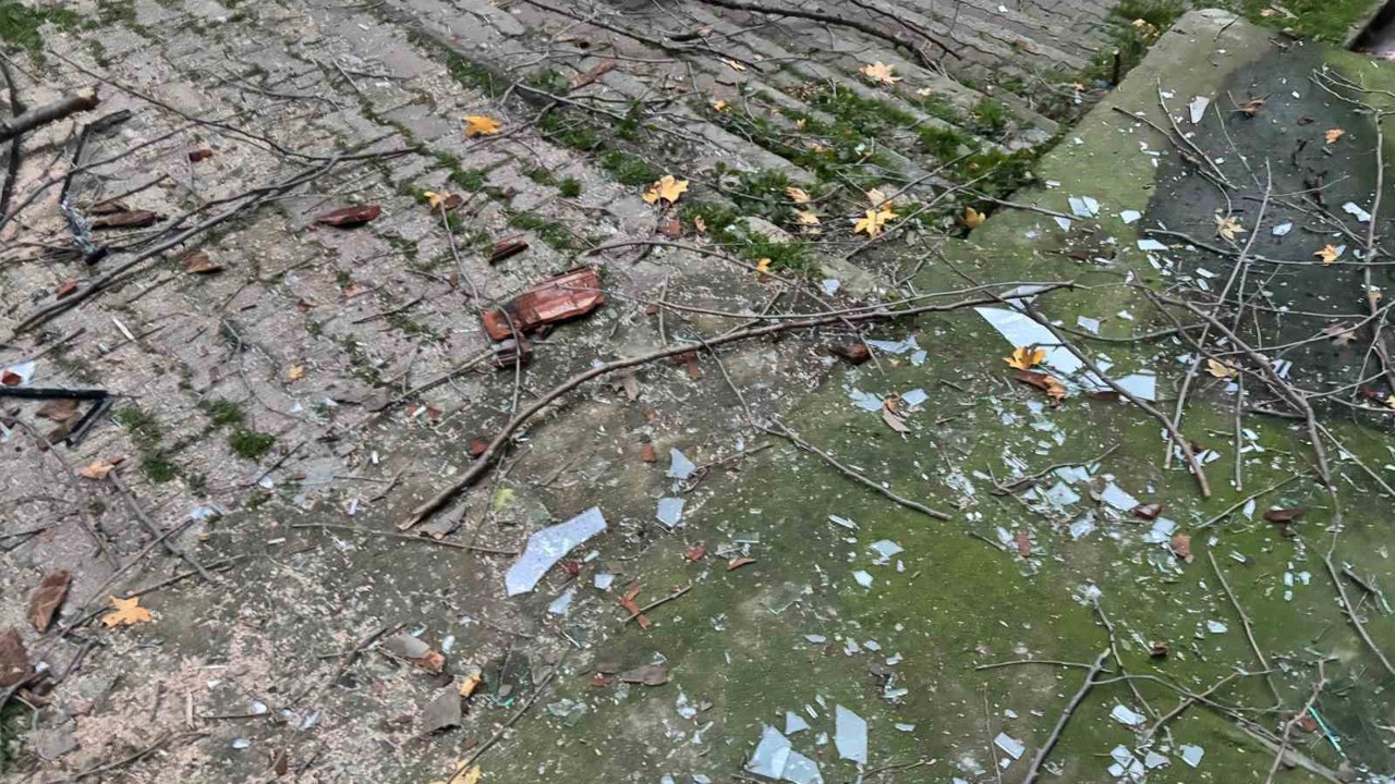 Beyoğlu’nda ağacın kırılan dalları binanın üzerine düştü
