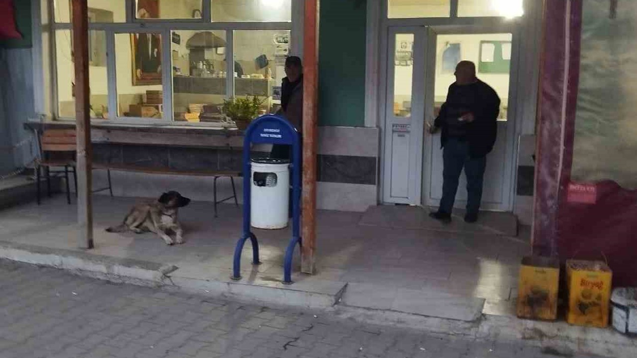 Çanakkale’deki köy kahve ihamesinde inatlaşma: Kira 126 bin TL’yi görünce yeniden ihaleye çıkılacak

