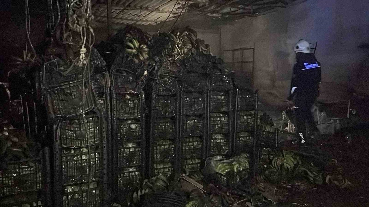 Alanya’da muz sarartma tesisinde yangın: Tonlarca muz zarar gördü
