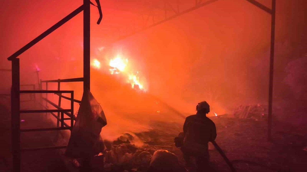 Samanlıktan yükselen alevler, besihaneye ulaşmadan kontrol altına alındı
