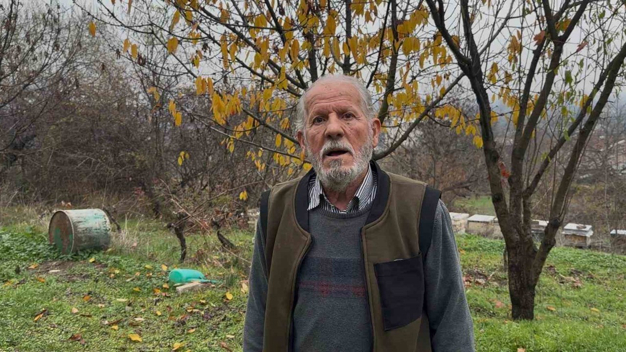 Zirai ilaç yüzünden milyonlarca arısı kovana dönemeden öldü
