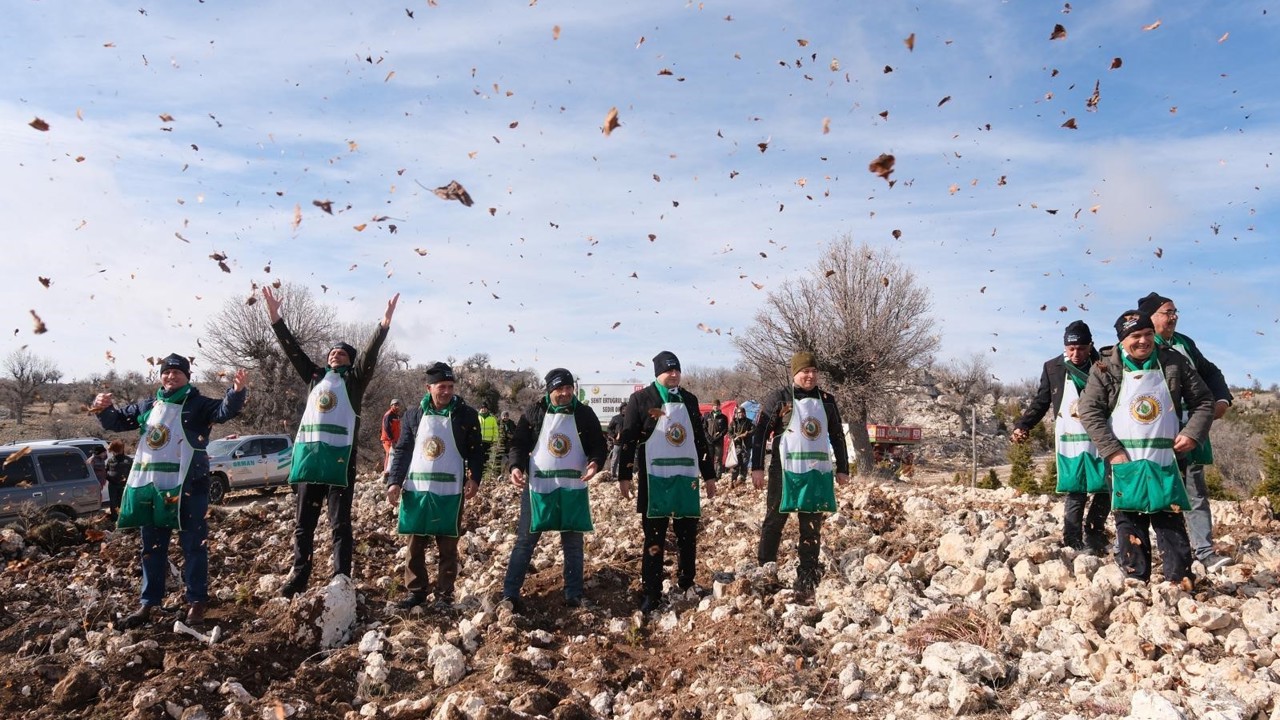 Şehidin adı sedir ormanında yaşatılıyor
