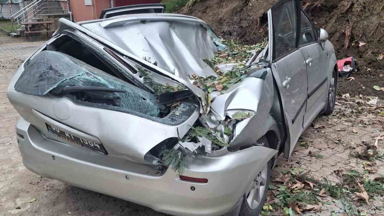 Giresun’da devrilen ağaç bir aracı kullanılamaz hale getirdi
