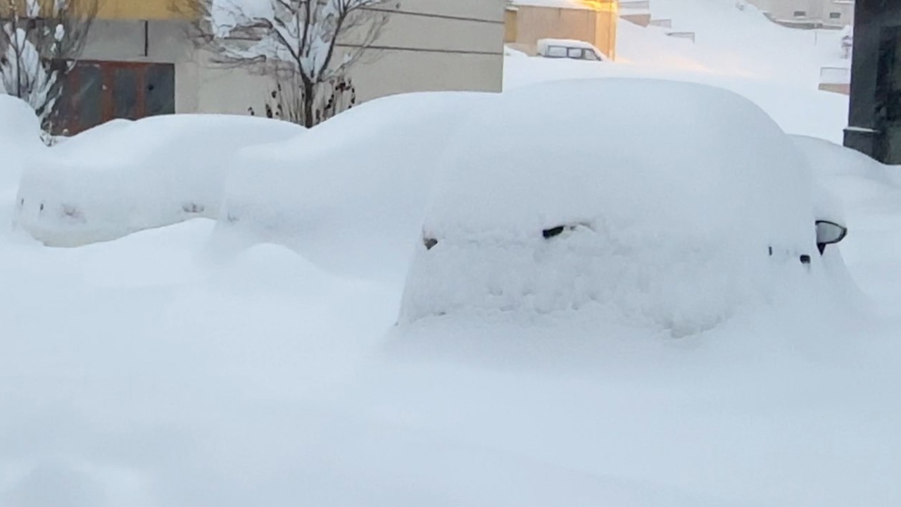 Yüksekova kara gömüldü: Kar kalınlığı yarım metreyi geçti

