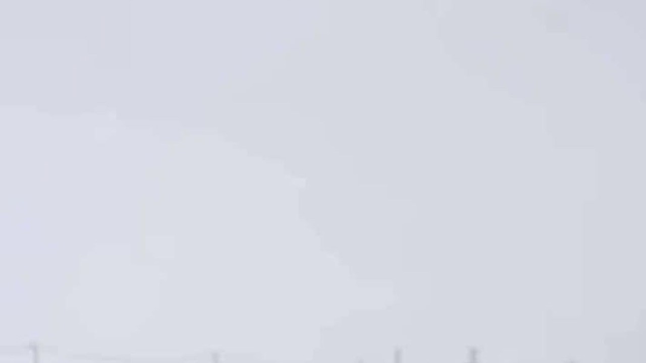 Diyarbakır’da kurtlar yerleşim yerlerine indi
