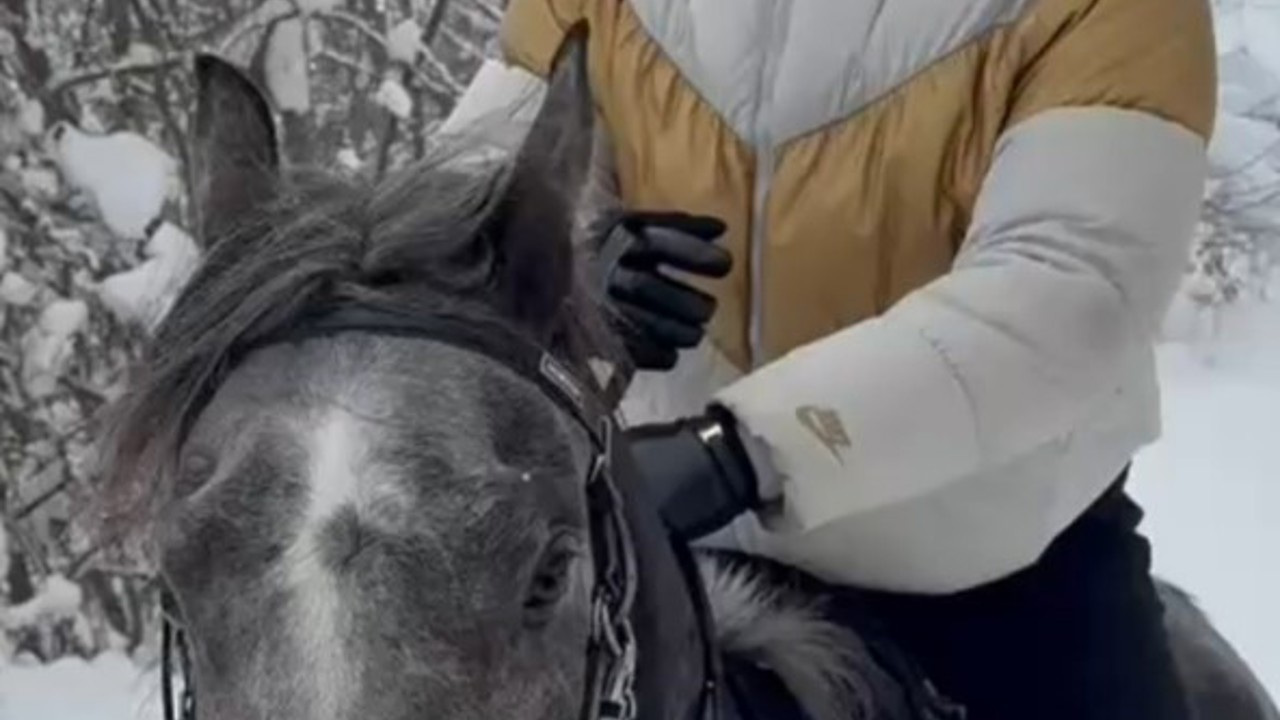 Kar üstünde dört nala at şovu
