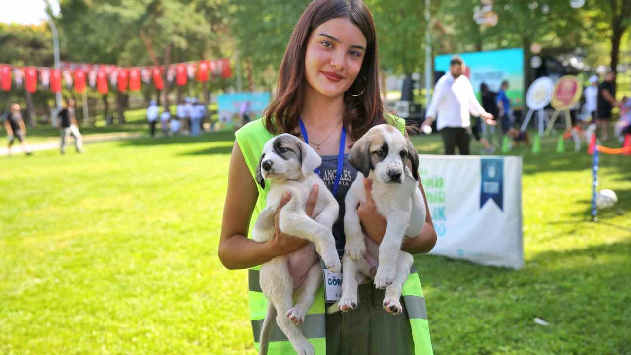 Bursa Büyükşehir Belediyesi patili dostların yanında

