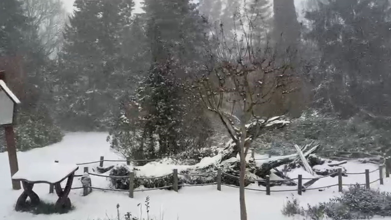 Sarıyer’in yüksek kesimleri karla kaplandı
