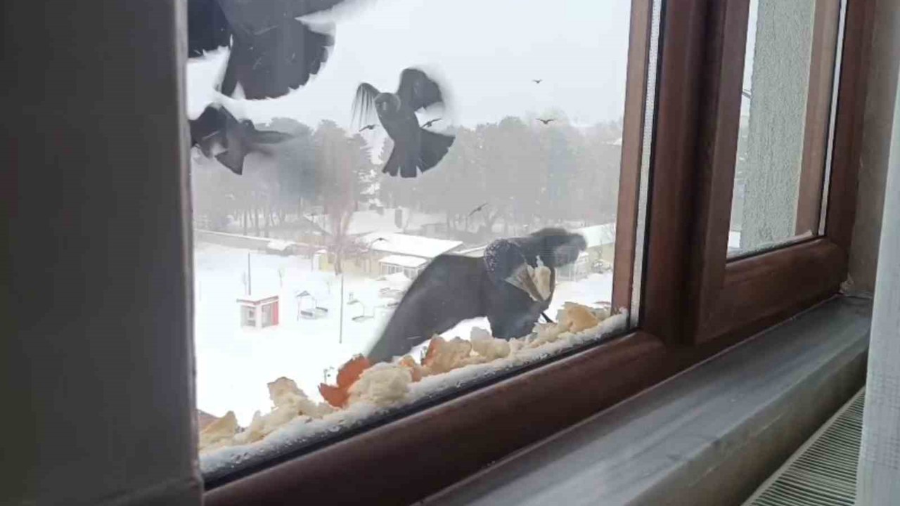 Tatvan’da yürekleri ısıtan davranış
