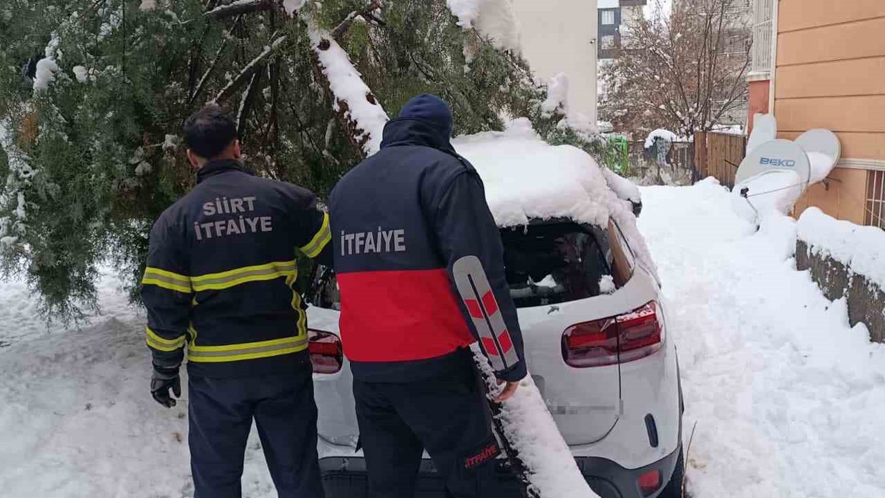Siirt’te karın ağırlığına dayanamayan çam ağacı otomobilin üzerine devrildi
