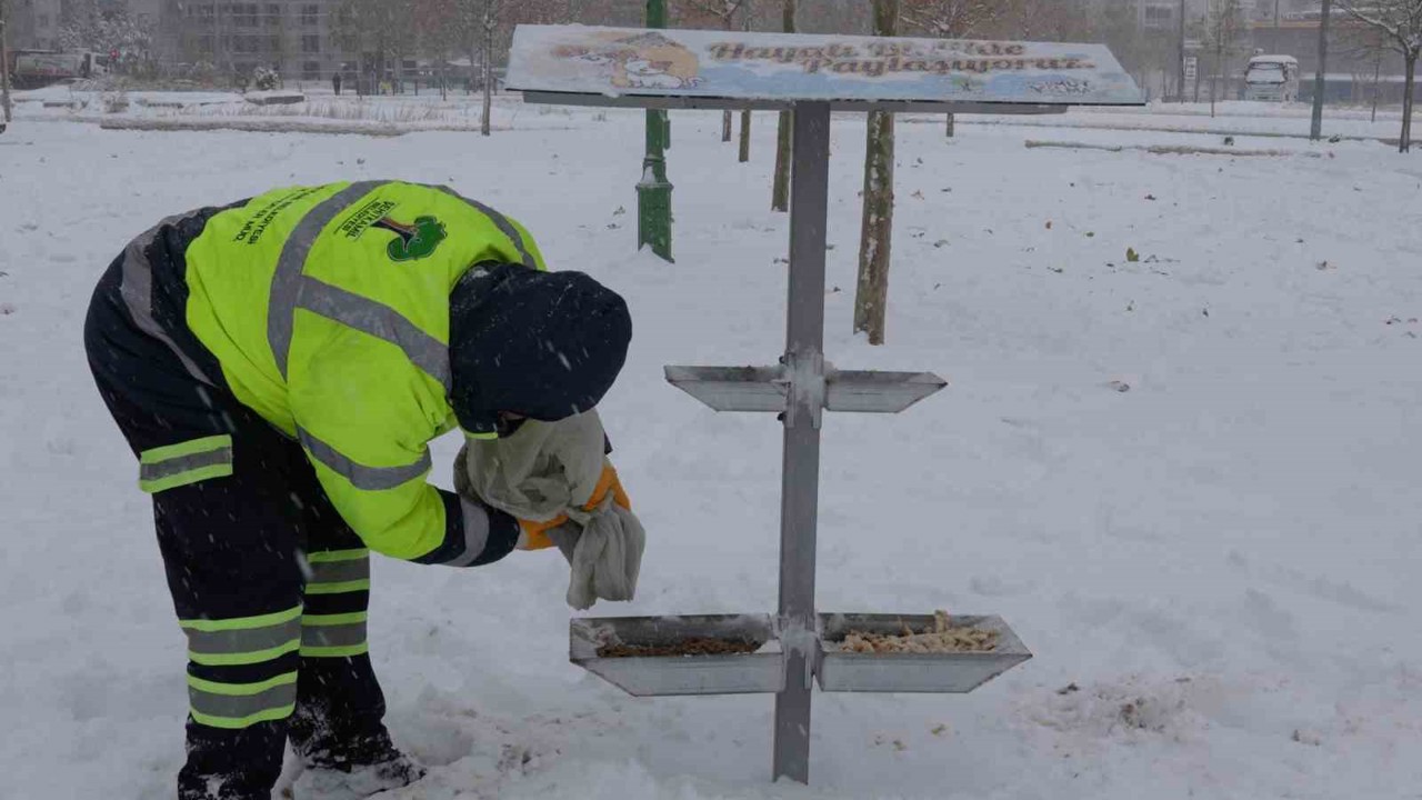 Şehitkamil sokak hayvanlarını unutmadı
